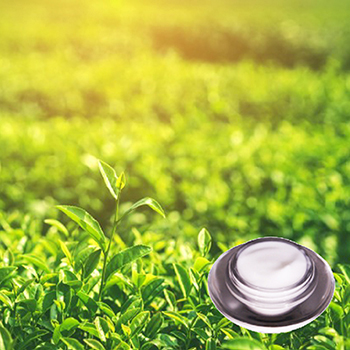 CK+綠茶+白茶香水乳霜