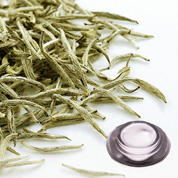 白茶+葵醯胺凝霜(沙龍級)
