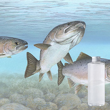 鮭魚膠原蛋白化妝水(沙龍級)