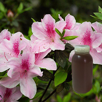 花酸(萃取液)