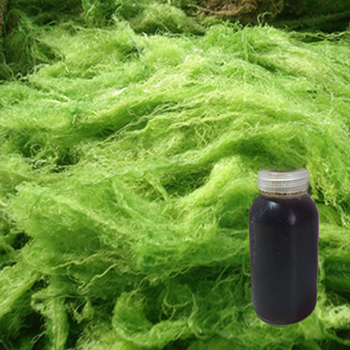 綠藻(萃取液)