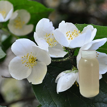 茉莉花花水