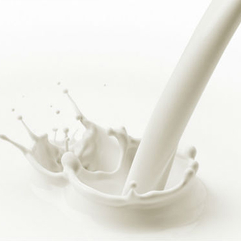 牛奶胜肽(原液)