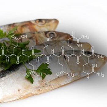 沙丁魚胜肽(原液)