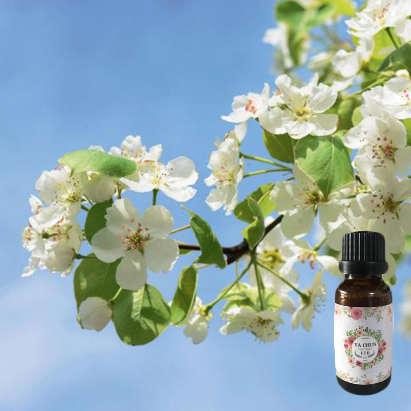 保養品批發 保養品代工 官方 Gmp認證 保養品原料 化妝品原料 化妝品批發 台中保養品代工 台中保養品批發 保養品原料 植物油 精油 香水 費洛蒙香氛 植物萃取液