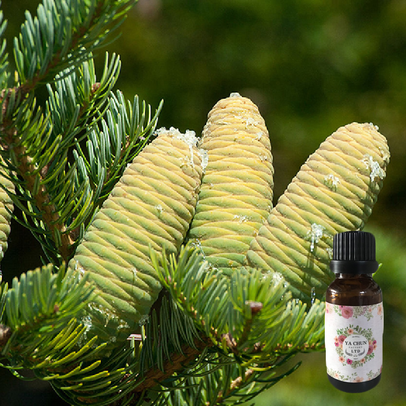 胶冷杉精油