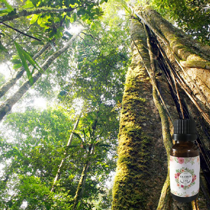 保養品批發 保養品代工 化妝品批發 保養品原料 化妝品原料 台中保養品代工 台中保養品批發 保養品原料 植物油 精油 香水 費洛蒙香氛 植物萃取液