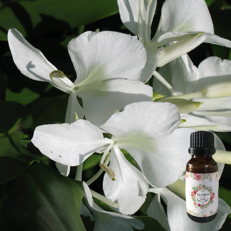野姜花精油