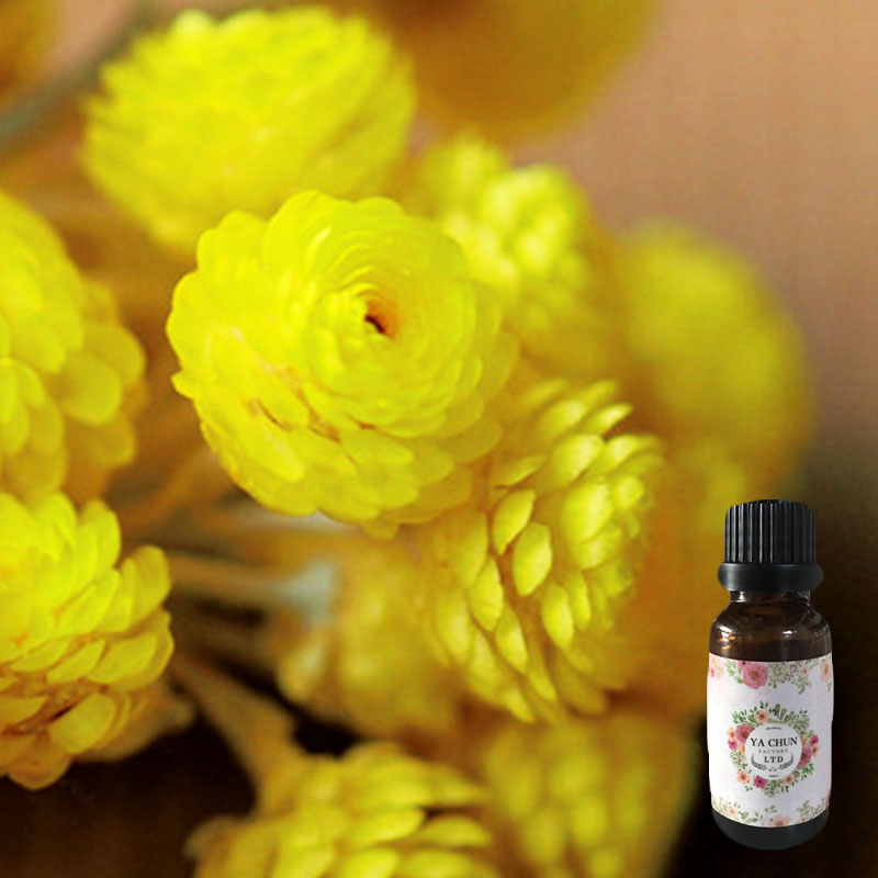 永久花(蜡菊)精油